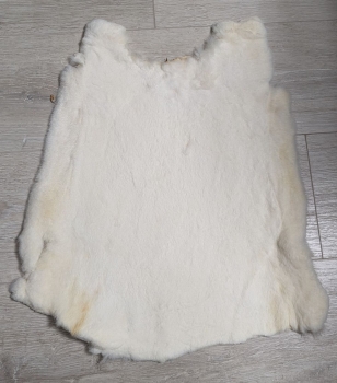 Kaninchenfell Rexkanin weiß Nr. 64