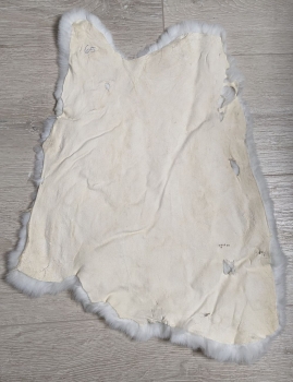 Kaninchenfell Rexkanin weiß Nr. 65
