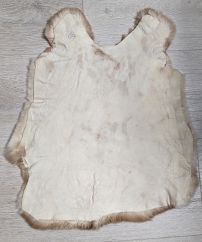 Kaninchenfell Rexkanin Gelbrex Nr. 67