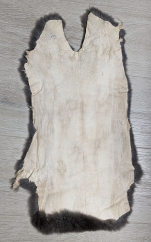 Kaninchenfell Rexkanin dunkelgrau Nr. 70