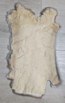 Kaninchenfell Rexkanin hellgrau braun beige Nr. 73