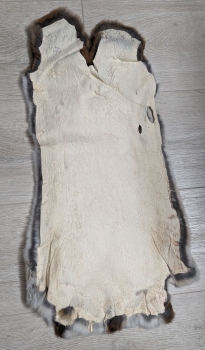 Kaninchenfell Rexkanin Castor Rex Nr. 77