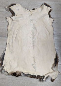 Preview: Kaninchenfell Rexkanin Castor Rex Nr. 78