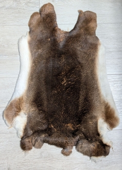 Kaninchenfell Rexkanin Castor Rex Nr. 89