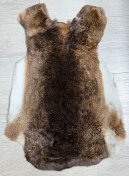 Kaninchenfell Rexkanin Castor Rex Nr. 90