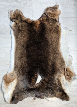 Kaninchenfell Rexkanin Castor Rex Nr. 92