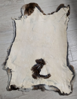 Kaninchenfell Rexkanin Castor Rex Nr. 92