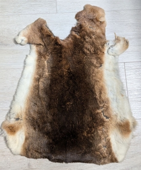 Kaninchenfell Rexkanin Castor Rex Nr. 94