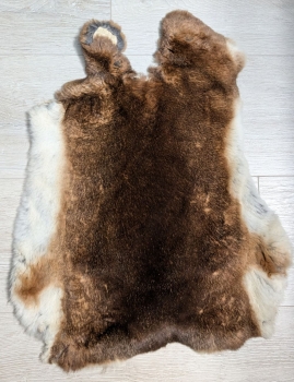 Kaninchenfell Rexkanin Castor Rex Nr. 96