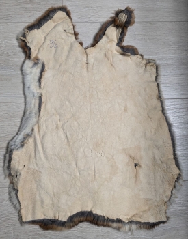 Kaninchenfell Rexkanin Castor Rex Nr. 96