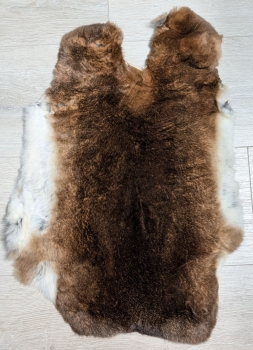 Kaninchenfell Rexkanin Castor Rex Nr. 97