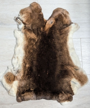 Kaninchenfell Rexkanin Castor Rex Nr. 99