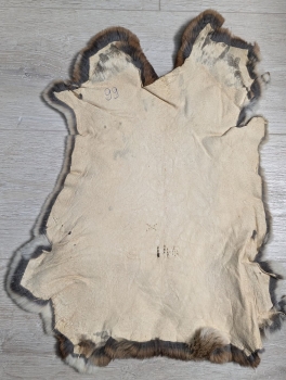 Kaninchenfell Rexkanin Castor Rex Nr. 99
