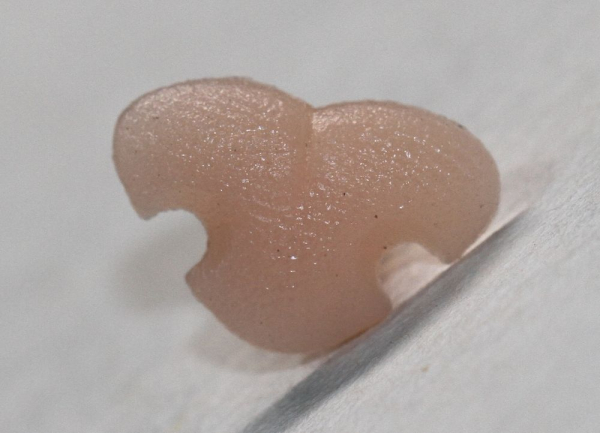 Sicherheitsnase 12 mm x 8 mm Katze hart haut hell mit Sicherheitsscheibe