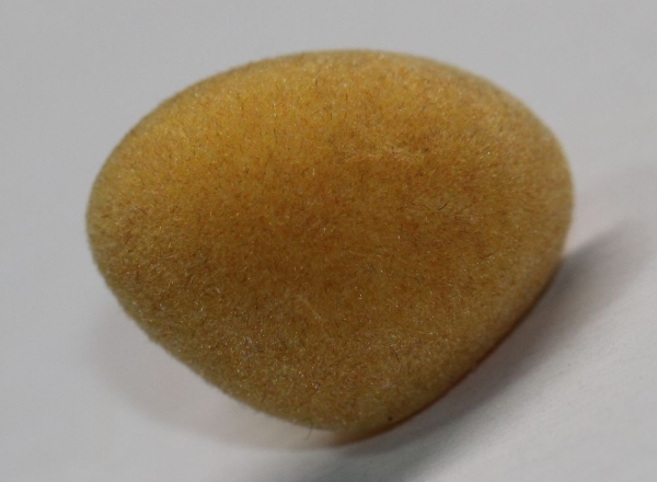 Sicherheitsnase dreieckig beflockt gelb 22 mm x 17 mm mit Sicherheitsscheibe