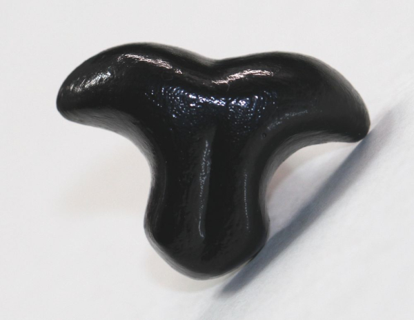 Sicherheitsnase 22 mm x 16 mm Katze Tiger hart schwarz mit Sicherheitsscheibe