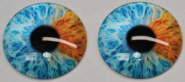 1 Paar Augen Glaslinsen zum Aufkleben 40 mm hellblau orangegelb