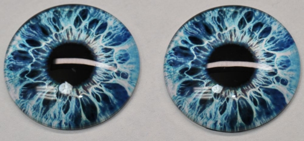 1 Paar Augen Glaslinsen Drache zum Aufkleben 40 mm blau weiß