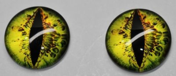 1 Paar Augen Glaslinsen Katze/Drache zum Aufkleben 20 mm grün orange
