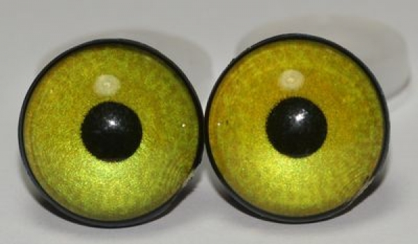 1 Paar Sicherheitsaugen 16 mm sehr kleine runde Pupillen goldgrün schimmernd verschiedenfarbige Iris