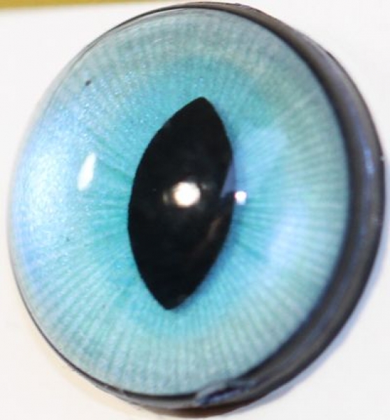 1 Paar Sicherheitsaugen 18 mm mittlere geschlitzte Pupillen türkisblau schimmernd verschiedenfarbige Iris
