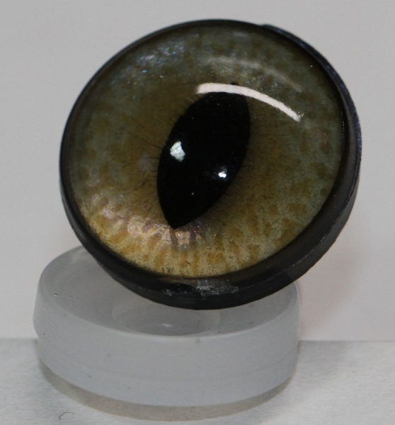 1 Paar Sicherheitsaugen 14 mm mittlere geschlitzte Pupillen beige schimmernd verschiedenfarbige Iris