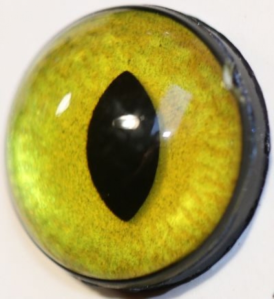 1 Paar Sicherheitsaugen 18 mm mittlere geschlitzte Pupillen goldgrün schimmernd verschiedenfarbige Iris