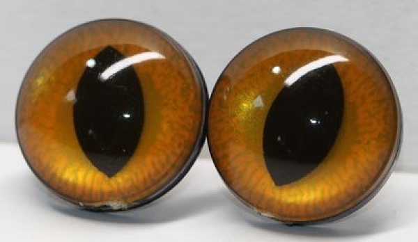 1 Paar Sicherheitsaugen 24 mm große geschlitzte Pupillen kupfergold schimmernd verschiedenfarbige Iris