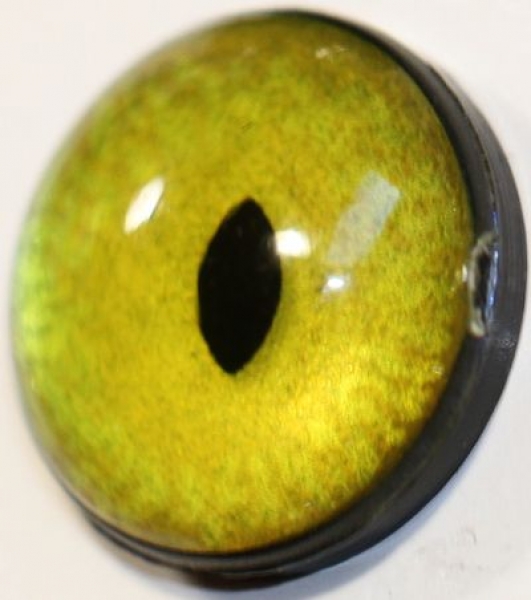 1 Paar Sicherheitsaugen 18 mm sehr kleine geschlitzte Pupillen goldgrün schimmernd verschiedenfarbige Iris
