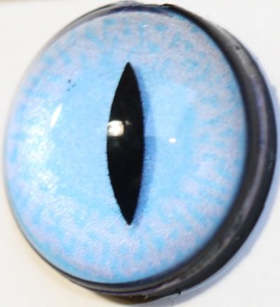 1 Paar Sicherheitsaugen schmale geschlitzte Pupillen zartblau schimmernd verschiedenfarbige Iris