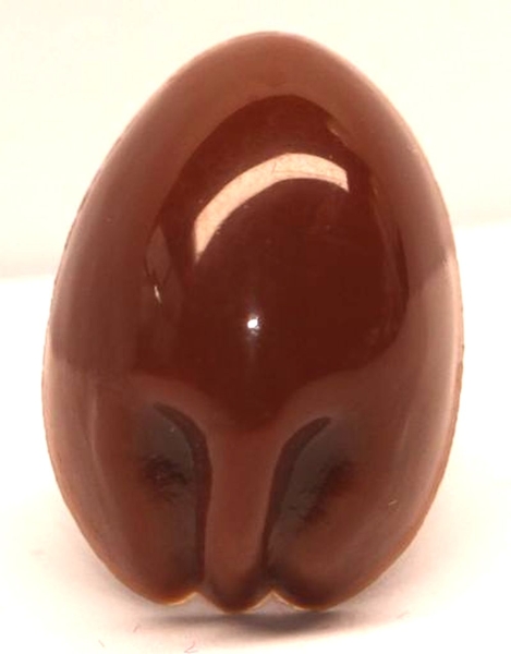 Sicherheitsnase 11 mm x 16 mm Koala hart braun glänzend mit Sicherheitsscheibe