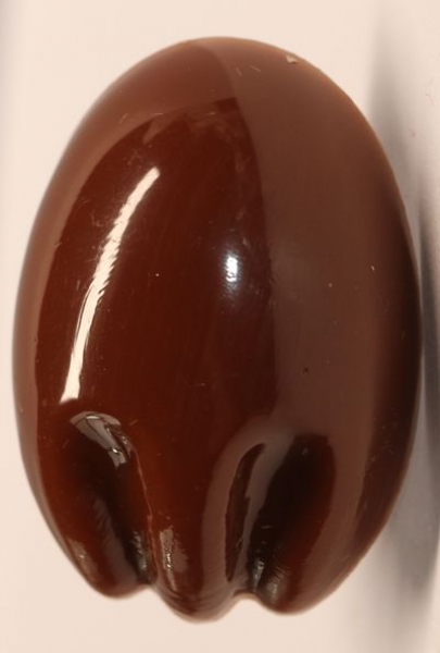 Sicherheitsnase 18 mm x 26 mm Koala hart braun glänzend mit Sicherheitsscheibe