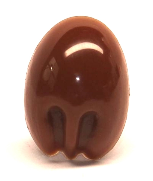 Sicherheitsnase 9 mm x 13 mm Koala hart braun glänzend mit Sicherheitsscheibe