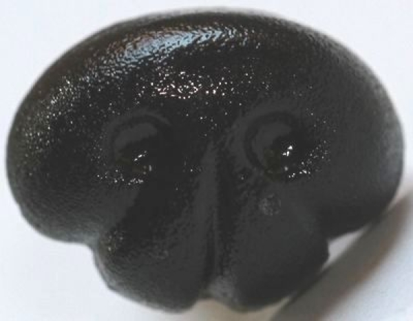 Sicherheitsnase 15 mm x 11 mm Hund hart schwarz glänzend mit Sicherheitsscheibe