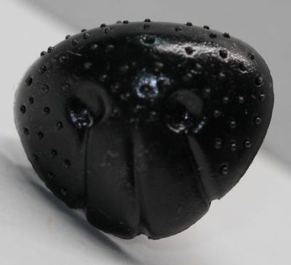 Sicherheitsnase 16 mm x 19 mm Hund hart schwarz mit Sicherheitsscheibe