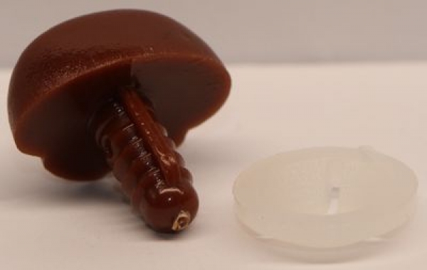 Sicherheitsnase 20 mm x 14 mm Hund hart braun glänzend mit Sicherheitsscheibe