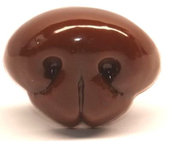 Sicherheitsnase 22 mm x 17 mm Hund hart braun glänzend mit Sicherheitsscheibe