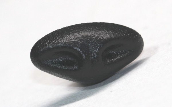 Sicherheitsnase 18 mm x 10 mm Gazelle hart schwarz mit Sicherheitsscheibe
