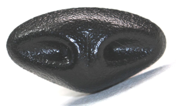 Sicherheitsnase 18 mm x 9,5 mm Gazelle hart schwarz mit Sicherheitsscheibe