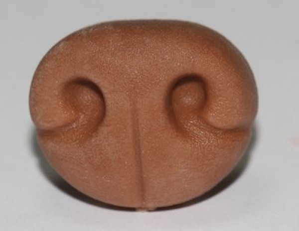 Sicherheitsnase 16 mm x 13 mm Hund Soft hellbraun Softnase mit Sicherheitsscheibe