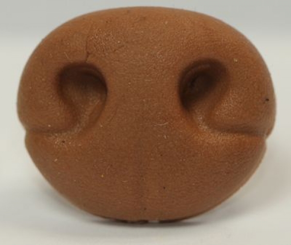 Sicherheitsnase 20 mm x 16 mm Hund Soft hellbraun Softnase mit Sicherheitsscheibe