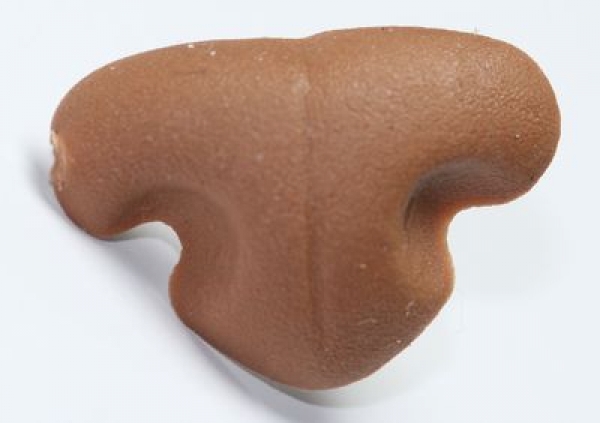 Sicherheitsnase 25 mm x 17 mm Katze Soft hellbraun Softnase mit Sicherheitsscheibe