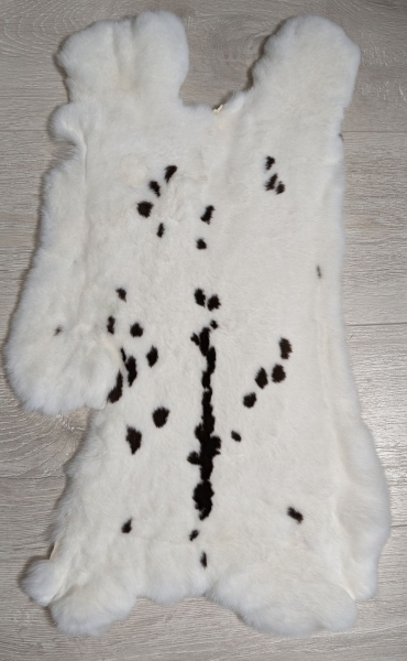 Kaninchenfell Rexkanin weiß mit schwarzen Flecken Nr. 1