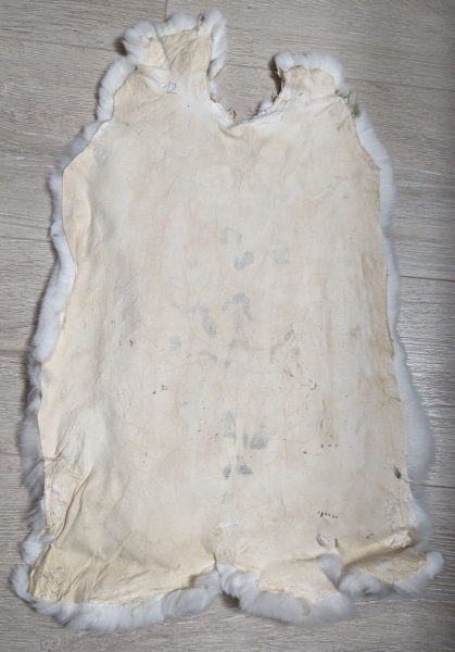 Kaninchenfell Rexkanin weiß mit braunen Flecken Nr. 12