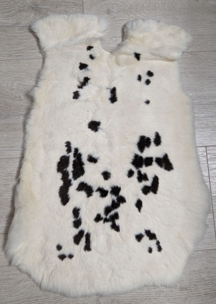 Kaninchenfell Rexkanin Dalmatiner Nr. 29