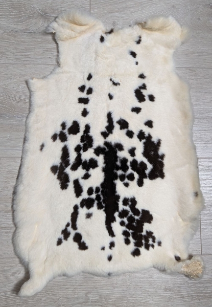 Kaninchenfell Rexkanin Dalmatiner Nr. 30