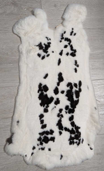 Kaninchenfell Rexkanin Dalmatiner Nr. 34