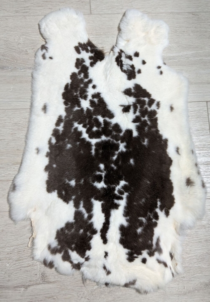 Kaninchenfell Rexkanin weiß mit braunen Flecken Nr. 41