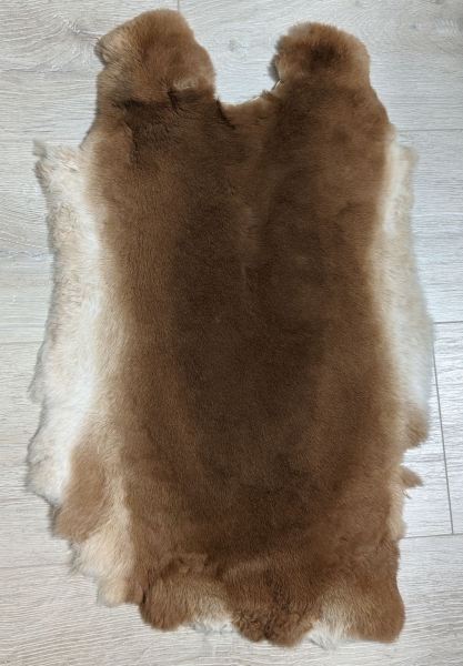 Kaninchenfell Rexkanin Gelbrex Nr. 42