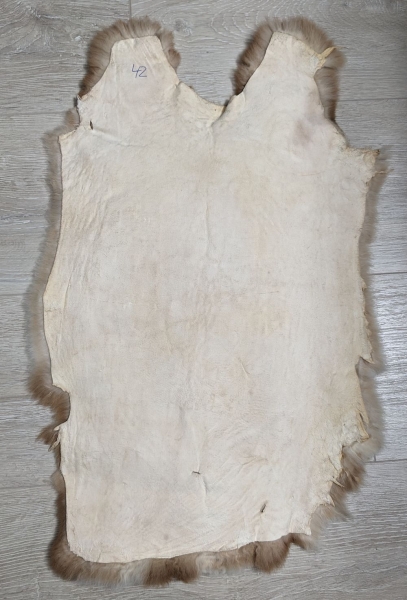 Kaninchenfell Rexkanin Gelbrex Nr. 42
